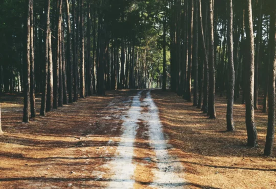 SERSC looking for input on future trail