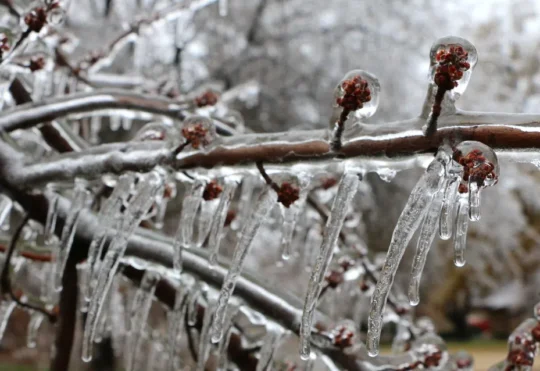 Snow, freezing rain set to hit Nova Scotia on Thursday