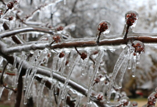 Ice pellets, freezing rain and snow for some of N.S.