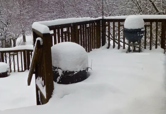 Storm forces closure of schools across Southeast N.B.