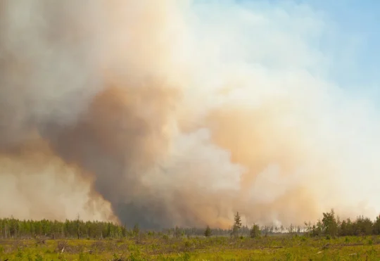 Wildfire in Kings County now being held