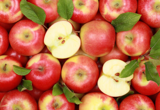 New equipment to produce more N.S. grown apples for ‘School Lunch Program’