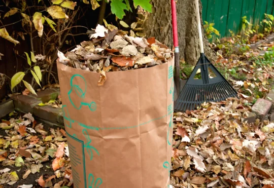 Thunder Bay: Second spring yard waste collection set to take place