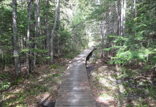 Expansion of Trans Canada Trails near Thunder Bay