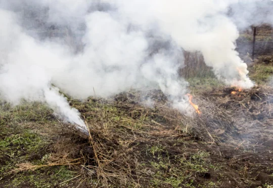 Crews monitor N.B. wildfires, 1 evacuation advisory remains