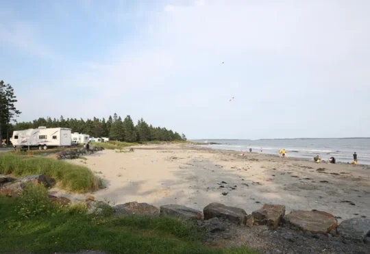 Possible shark sighting at Rissers Beach