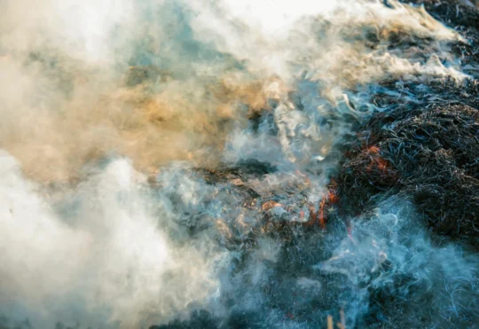 Wildfire risk remains in N.B. as some Crown land restrictions lift