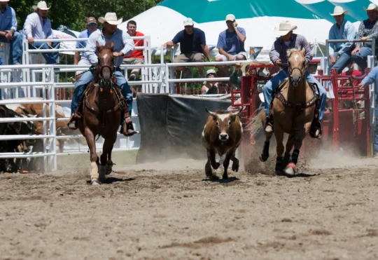 N.S. Stampede supports economic growth & tourism