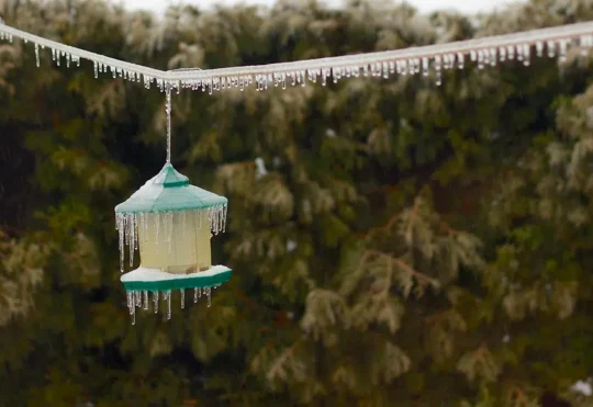 Freezing rain, rainfall warnings in place for N.S.