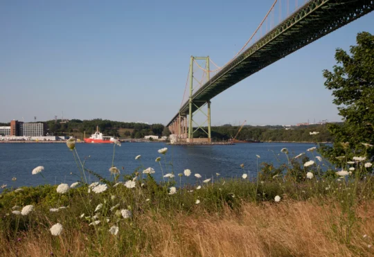 Residents rally in Dartmouth as opposition to harbour infill project intensifies