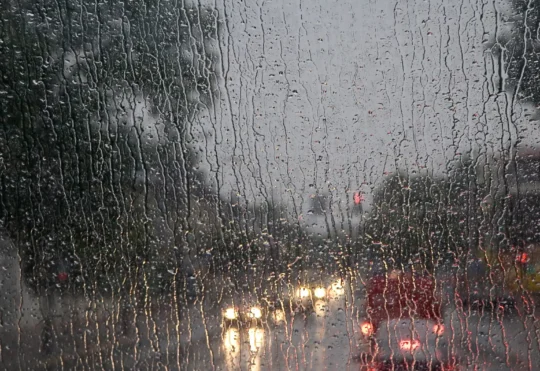 Nor’easter arrives in N.S. bringing rain, snow and heavy wind