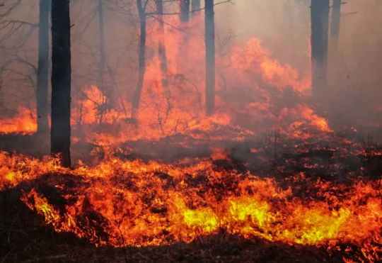 Susie’s Lake wildfire now under control