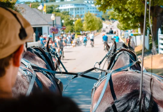 Horse and buggy overturns at end of Queens County Parade