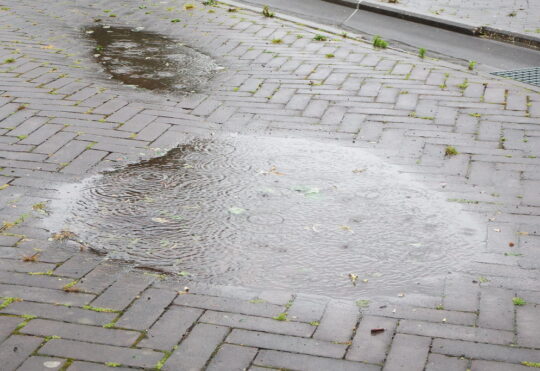 Wind and rain for Thanksgiving weekend in N.B.
