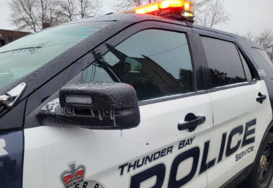 2 arrested in drug raids