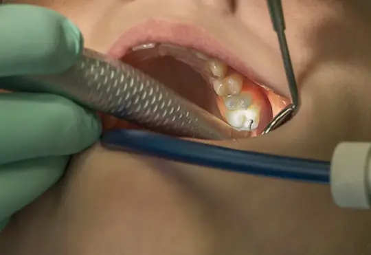 Dentists seek provincial support