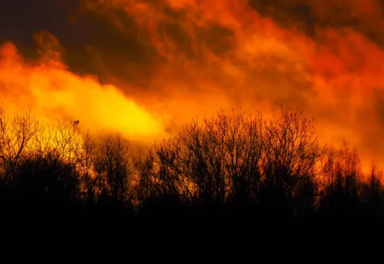 Canada sending firefighters to support California wildfire efforts