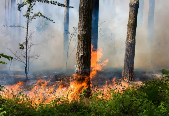 N.B. Fire Air Attack officers assisting in N.W.T.