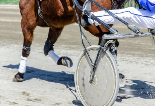 Inverness’ Redmond Doucet wins Atlantic harness racing title