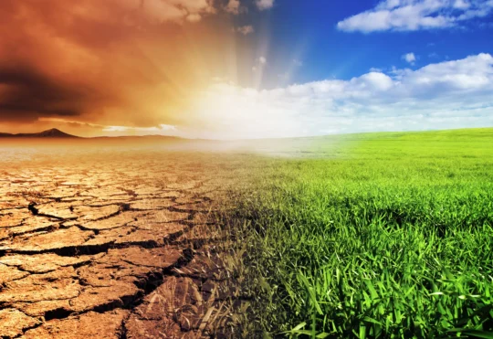 New Brunswick communities get funding for climate action plans