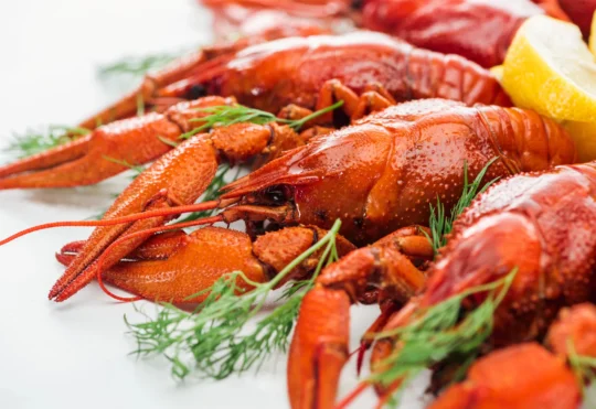 Chinese deal ‘great news for lobster industry’ says Lobster Council of Canada head