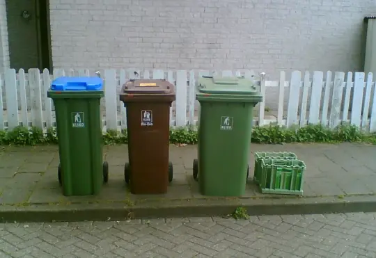City takes step towards green bin program