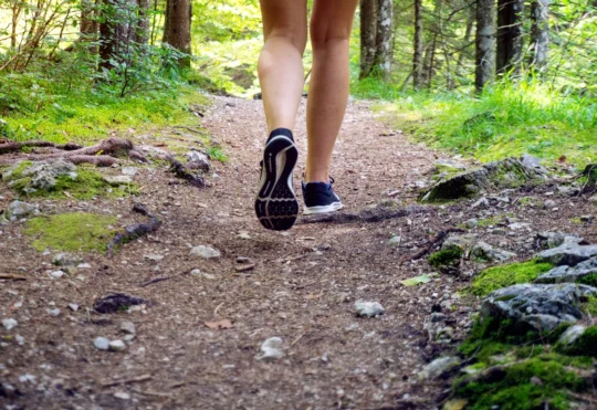 1.1 kilometres being added to Kakabeka Falls Trail
