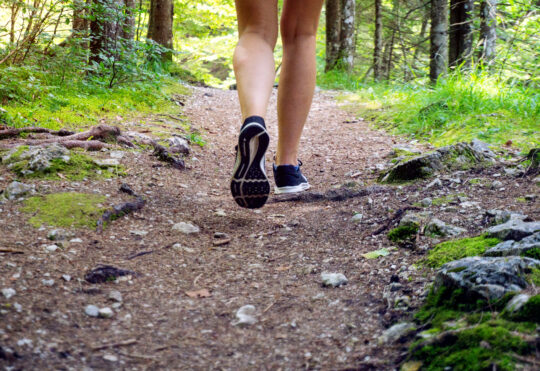 Owner of bike shop calls for interest in maintaining popular trail in HRM
