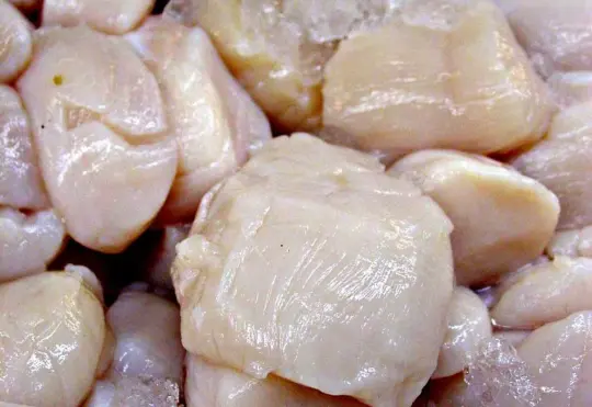 N.S. companies control all of national scallop quota after recent sale