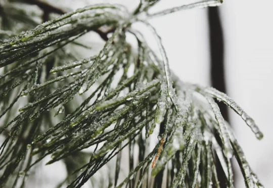 Frost advisory for most of N.S.