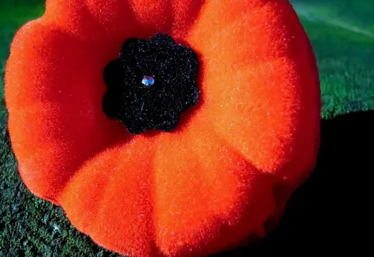 Survey finds more Remembrance Day education needed for youth