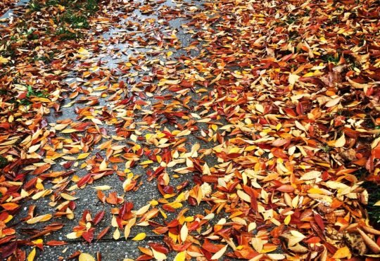 Tropical Storm Phillipe bringing wet and windy Thanksgiving weather