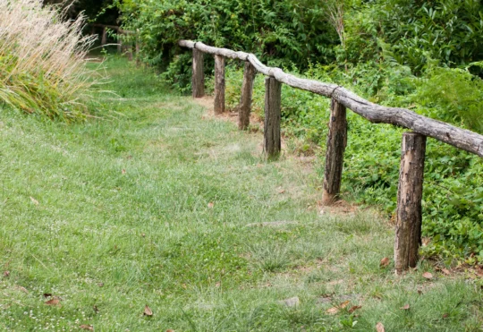 Dieppe residents offering input on parks and green spaces