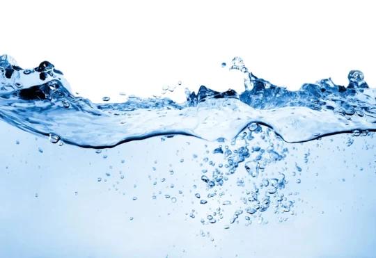 Precautionary steps to be taken to prevent cyanobacteria