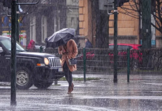 High winds and rain for southern N.B.
