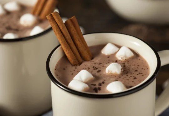 Greater Moncton Chocolat Festival, the perfect winter warm-up