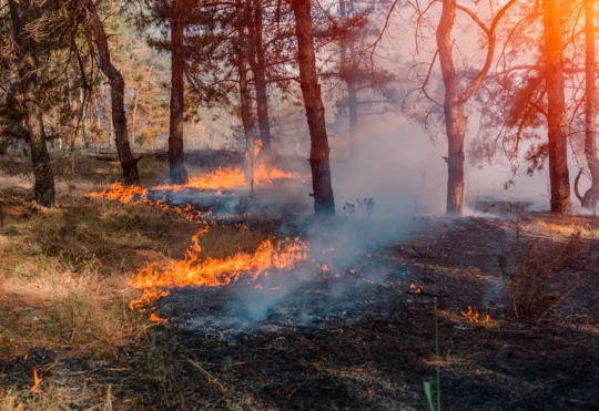 Long Lake wildfire crews brace for strong winds from Hurricane Erin