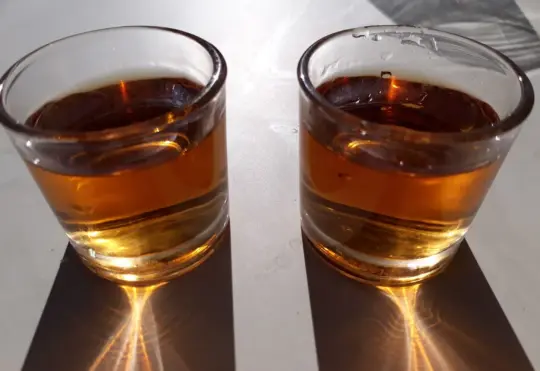 RCMP safety tips for festive season parties