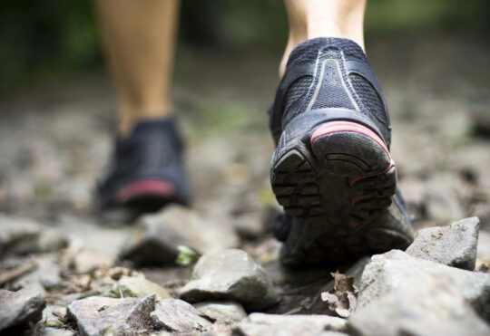 New approach for a group to overlook B.L.T Trail, says Halifax councillor