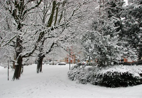 Snowfall expected in Thunder Bay, Weather Advisory in effect