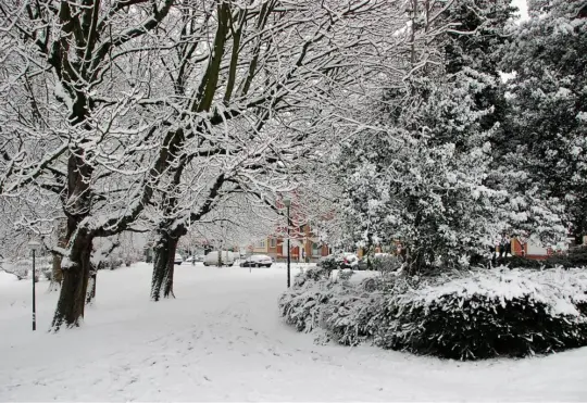 Southern NS to receive up to 20 centimetres of snow on Sunday