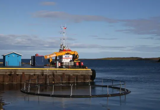 Liverpool Bay aquaculture hearing delayed