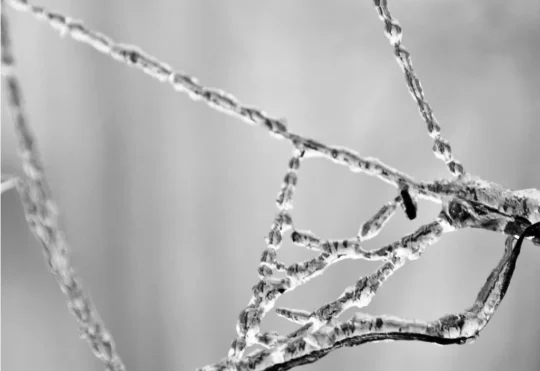 Rain, ice and snow in forecast for Moncton and southeast N.B.
