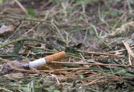 Spring brings grass fires, even in rainy conditions