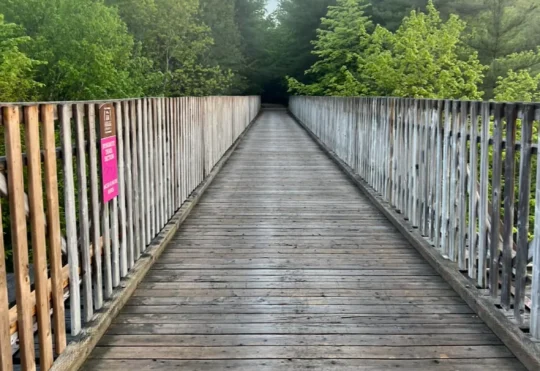 Dynamite Trail set to host party for International Trails day