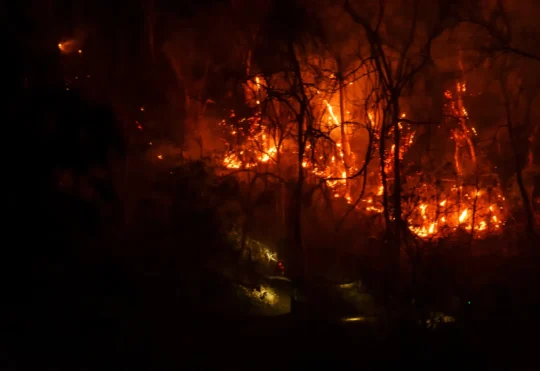 Old Field Road fire near Miramichi now contained