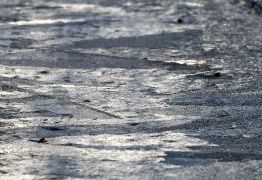 Lots of rain and high winds forecast for N.B.