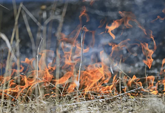 HRM launches online tool to guide burn restrictions