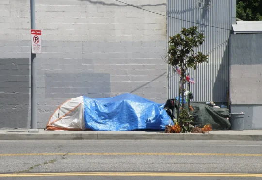 Variety of strategies needed to address homelessness: UNB professor