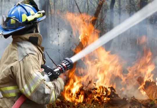 Investments to help battle future N.B. wildfires